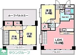 ステラ 503