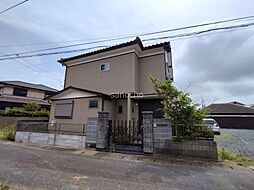 ブルースター妙見