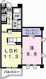 アグネス 301