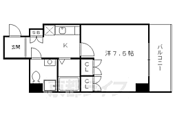 フラットコート 303