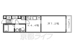 Ｃｈｅｌｓｅａ