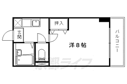 サンシーガルIII