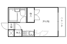 Ｄ’ｓ　Ｃｏｕｒｔ