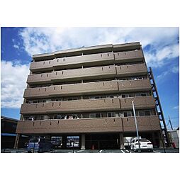 ベリーコート 606