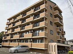 アルディエール 305