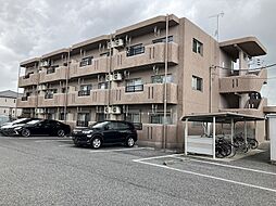 Y＆Mシルキー 301