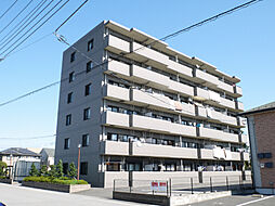 アビタシオンピーノ 603