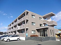 サウスヒルズ 102