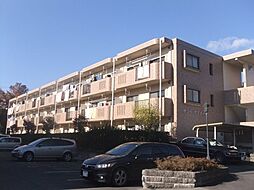 サンツヤマモトA 206