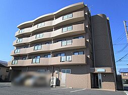 ガウディウムサカモト 303