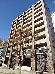 モア　クレドール 506