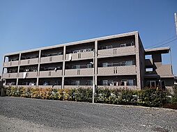 ソル・レヴァンテI 306