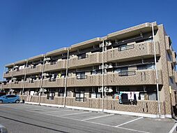 グリーンステージII 105