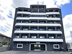 ロイヤル金信IV 507