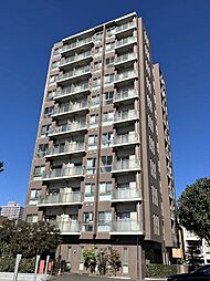 ビュー雷神III 1101