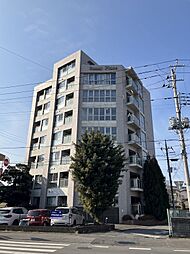 フェリシアス 203