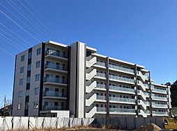 PLACIDES 608