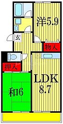 市川市東菅野５丁目