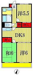 アフィニス原木