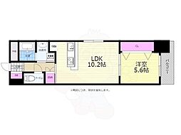 SPRINGHEADS　TAKANOBASHI