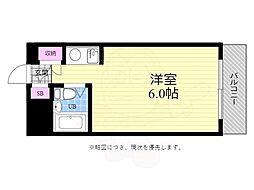 ジューヌボア 503