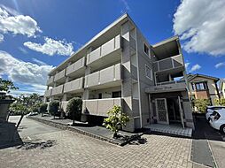 ブエナビスタ 305