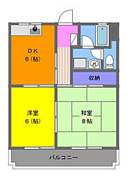 サンフラワーII 305