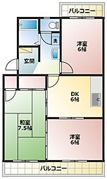 ラ・プリマベーラ 203