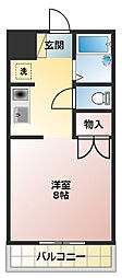 コスモス24 204