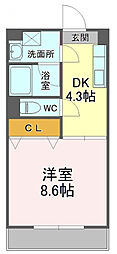 カトレア・シス 402