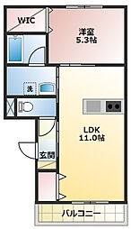 マンダリーヌ 301