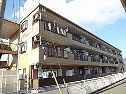 レジデンスセルーリア伊藤