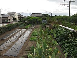 宮崎市大字島之内の土地