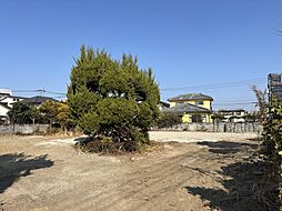 宮崎市谷川１丁目の土地