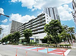 エスティメゾン豊洲レジデンスD棟