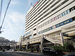 サンビーチ追浜