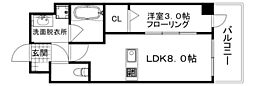 Daisy・Caldo　デイジーカルド 503