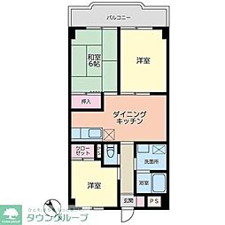 コーラル・リーフ