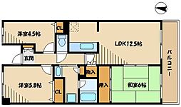 リュミエール
