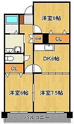 ウェルス守恒