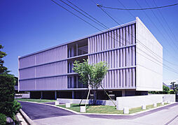 S-COURT S206