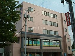 サンフラワー24 403