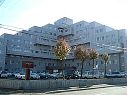 グリーンヴィラ琴似Ｃ棟 103