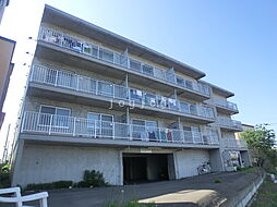 ウエストコート 307