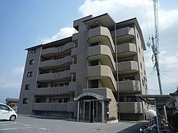 ハミルトングレイス 502