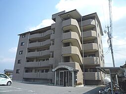 ハミルトングレイス 401