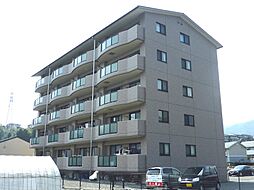 ハミルトングレイス 104