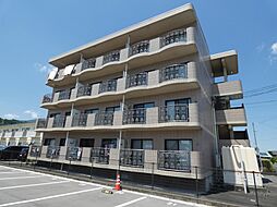 スプリングコート 101