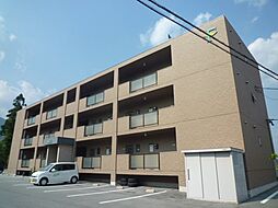 セレーノ・ナティオ 305