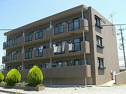 サニーデイパレス 203